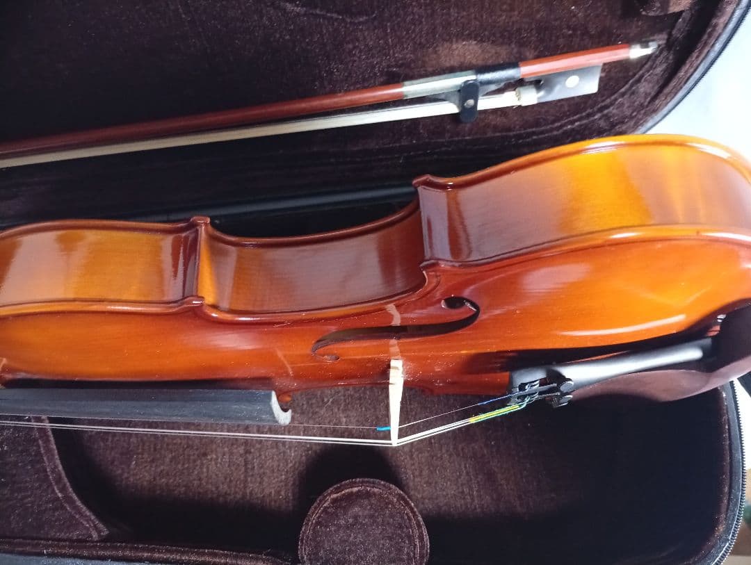 Carlo Giordano バイオリン VS-1 4/4　ケース付き　美品