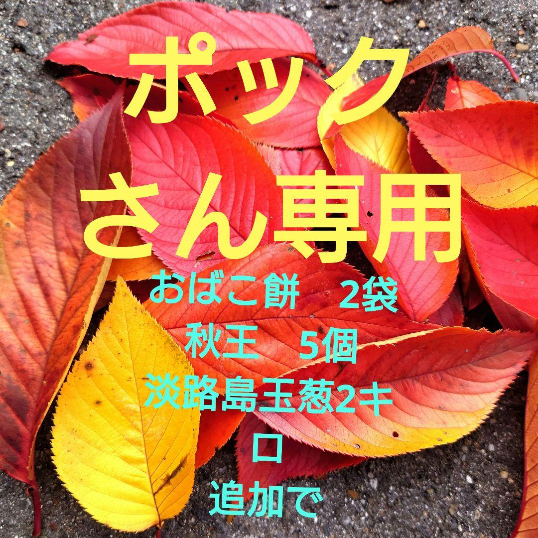ポックさん専用