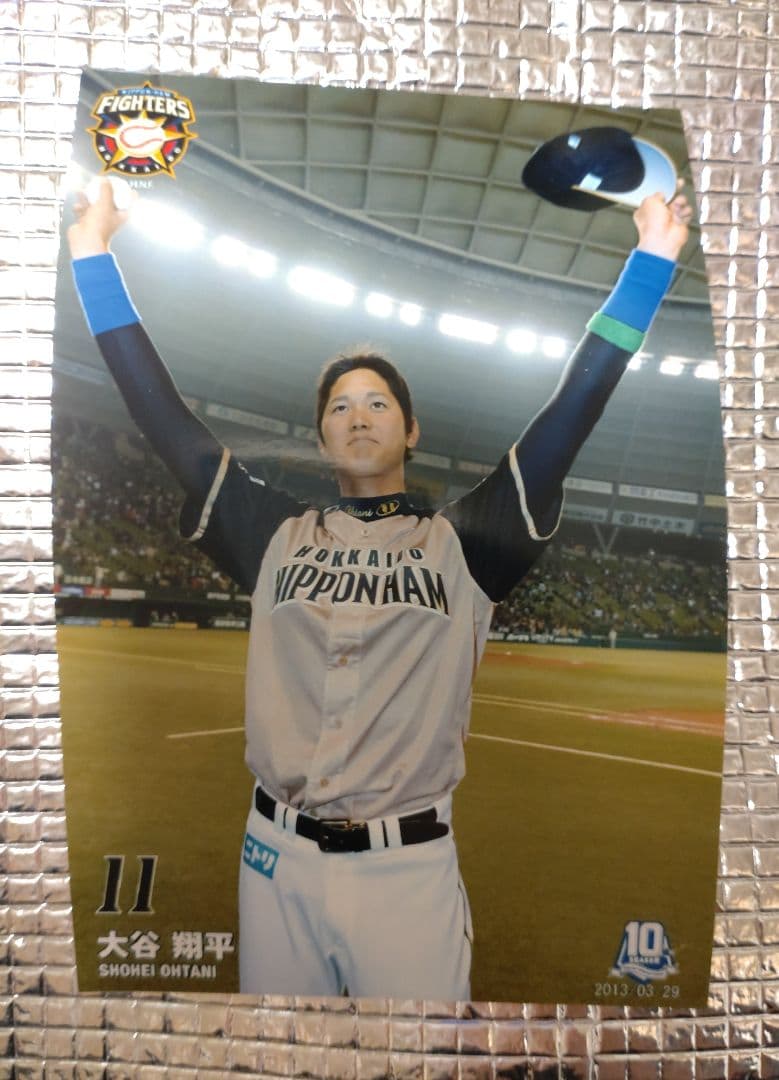 大谷翔平 2013 ハイライトフォト No.378 日本ハム 球団公式写真
