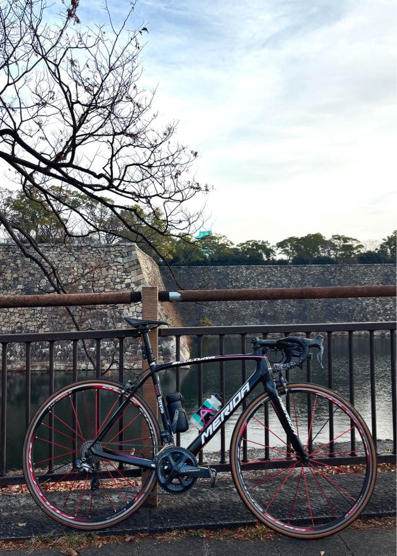MERIDA SCULTURA3000 メリダ スクルトゥーラ di2