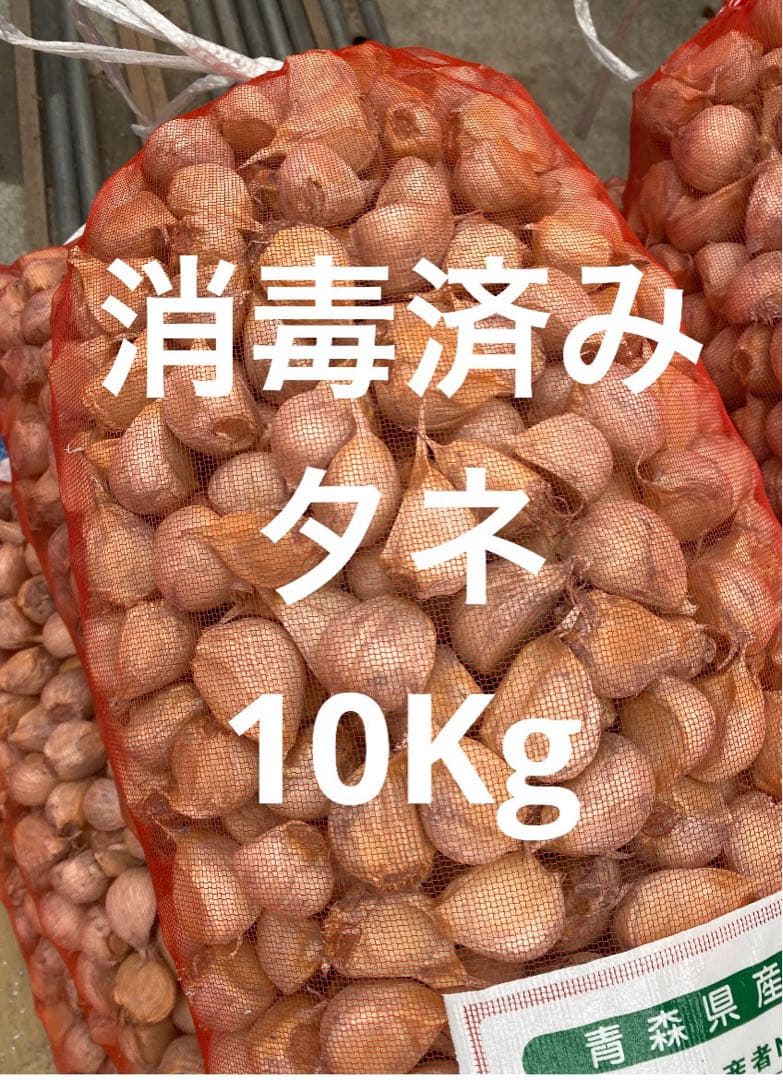 は*か様 青森県にんにくタネ10Kg 大　消毒済み