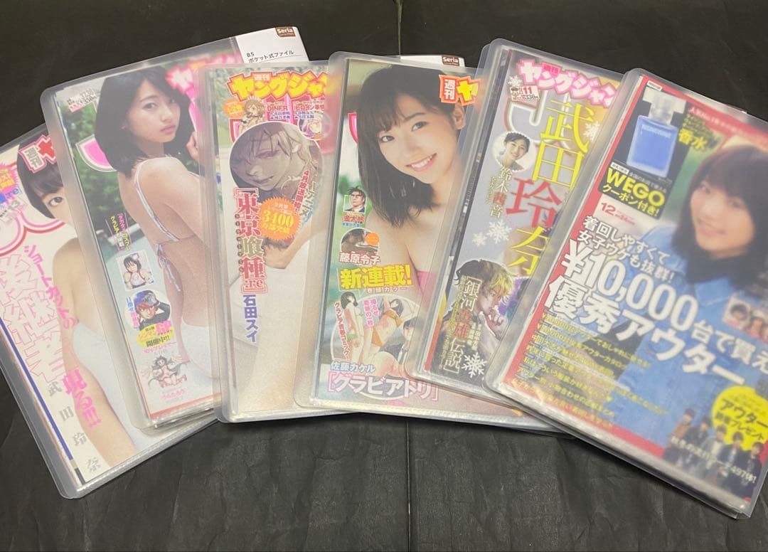 武田玲奈　切り抜き 約705p