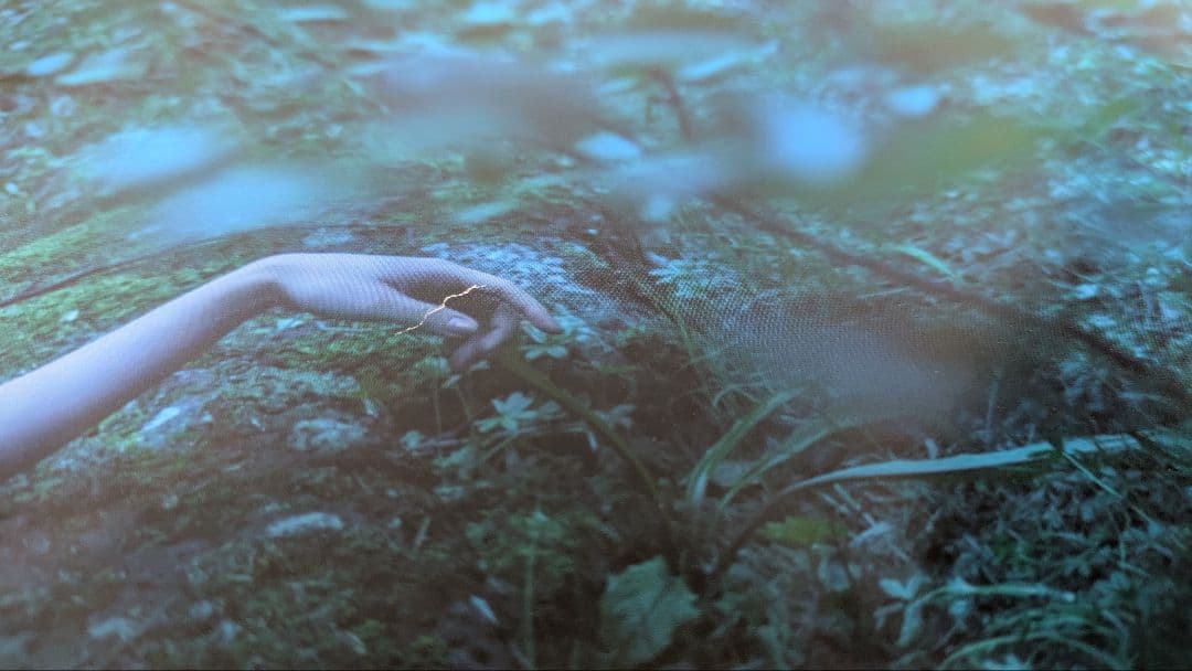 【希少】Aimer　直筆サイン　ポスター
