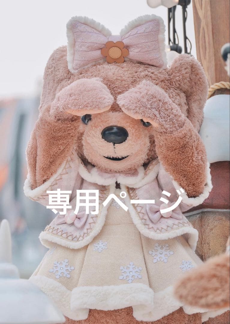 専用ページ