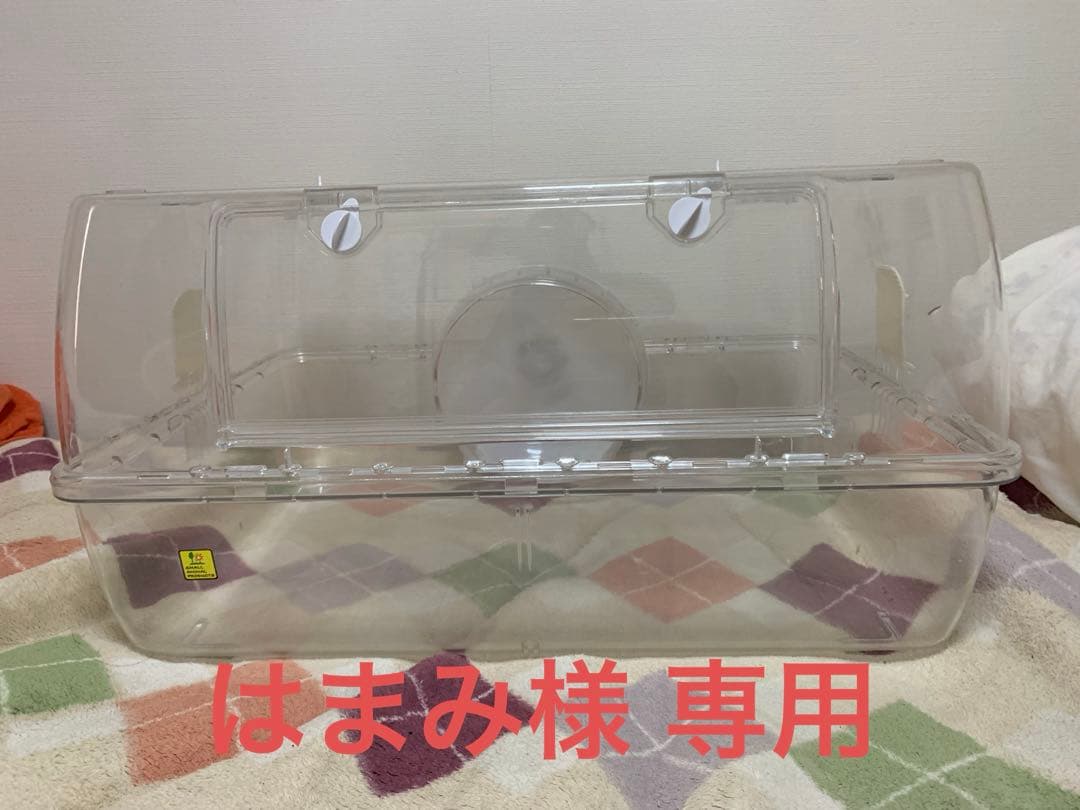 はまみ