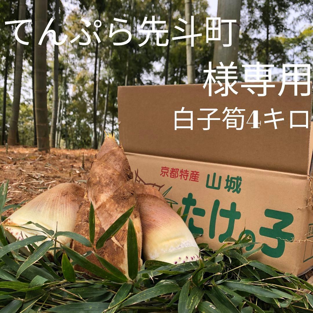 てんぷら先斗町　白子筍4キロ