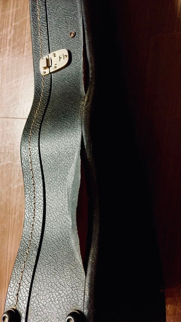 Tokai Reborn Old 1980 /LS-60:LS-80ハイブリッド