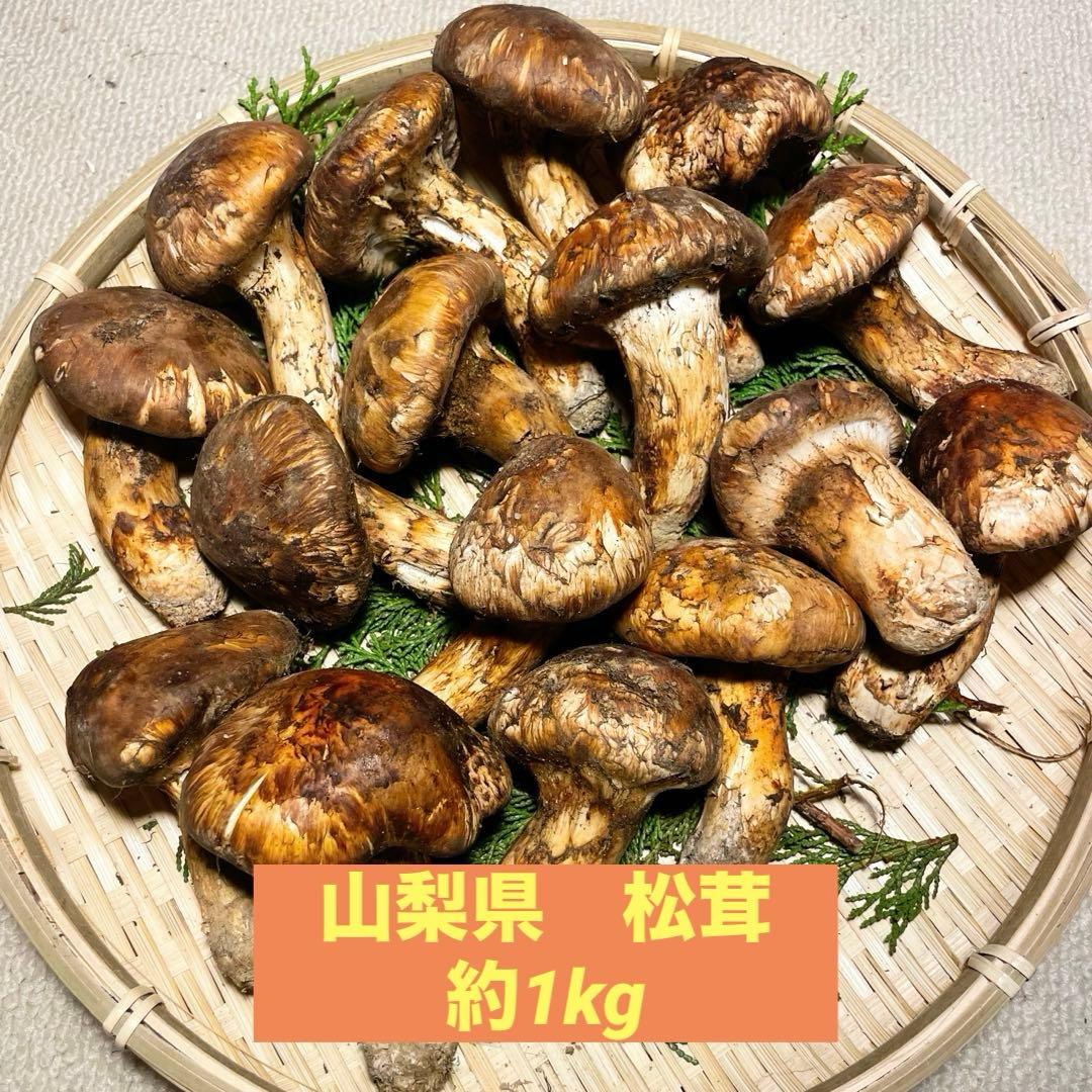 松茸　国産　山梨県　1kgセット