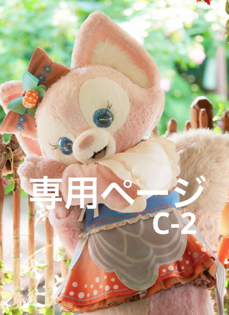 専用ページC-2