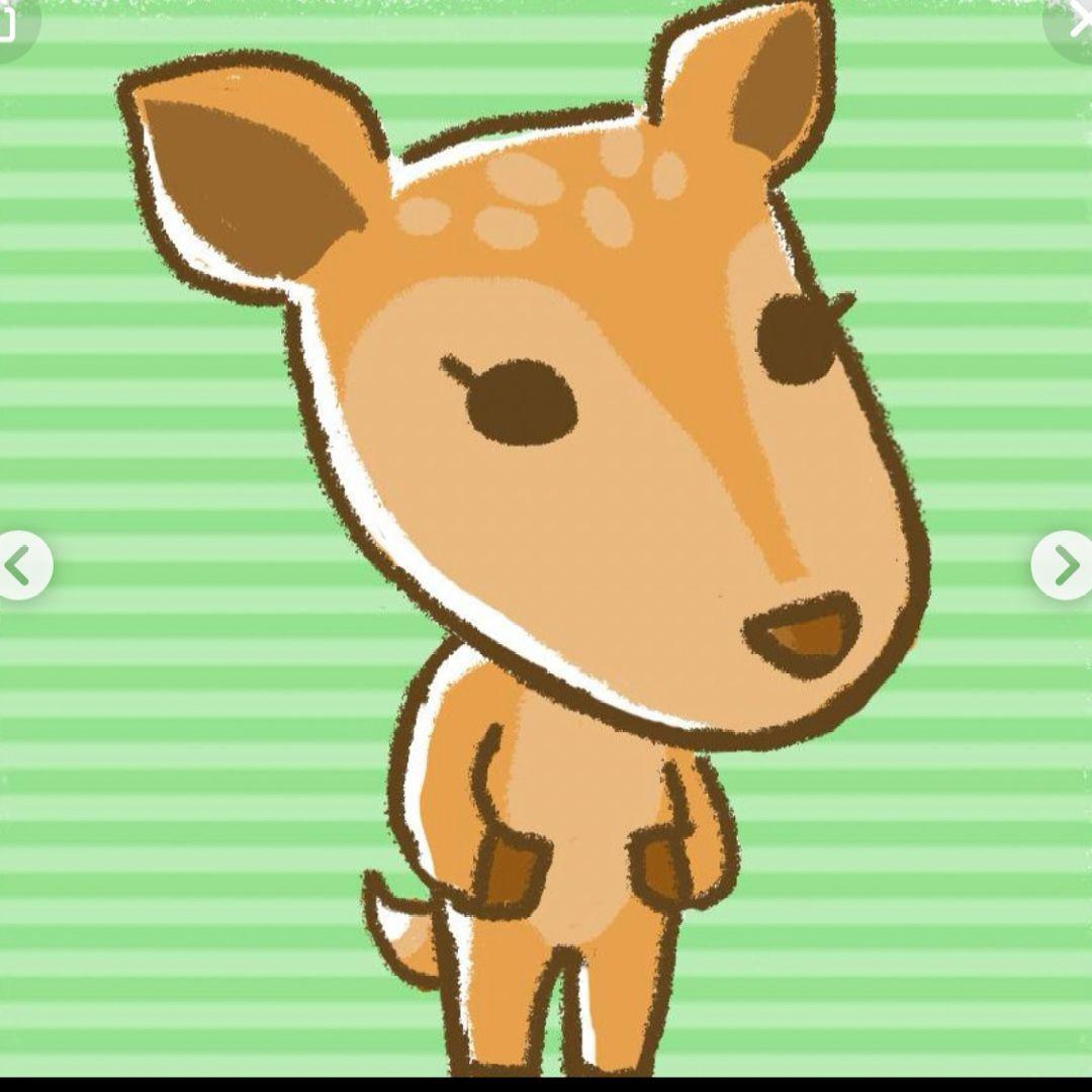 専用❤