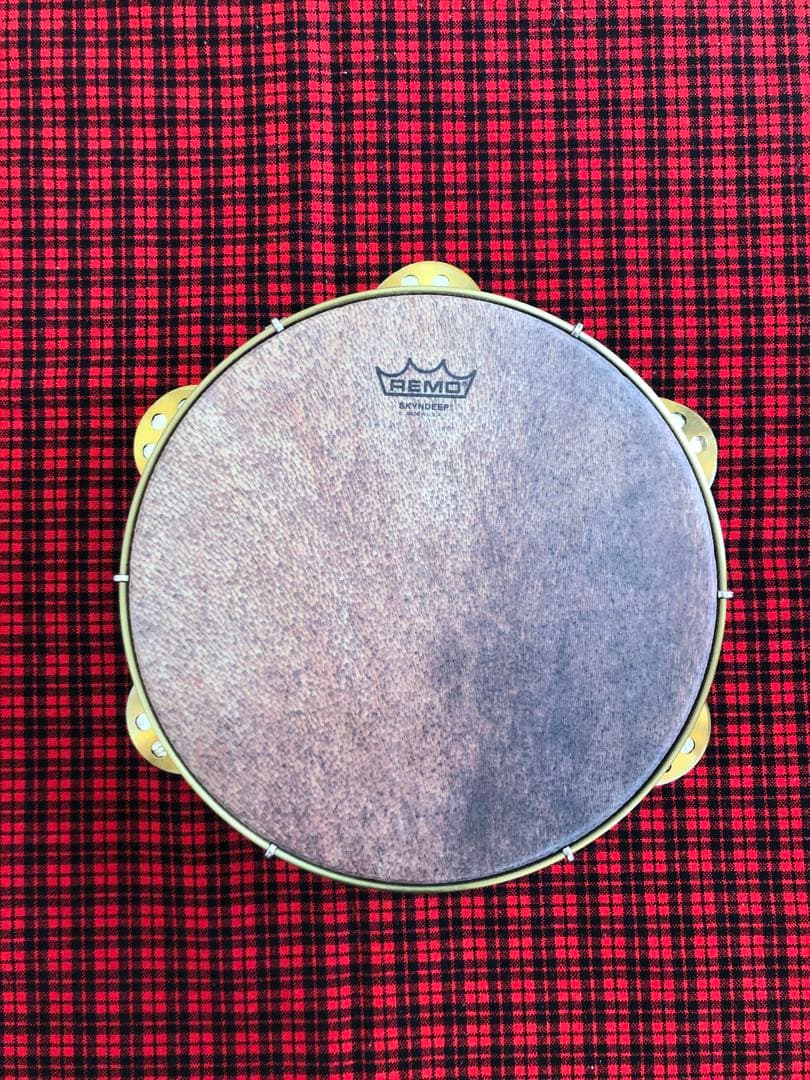 【再値下げ】REMO パンデイロ　PD-8210-81-113 Skyndeep