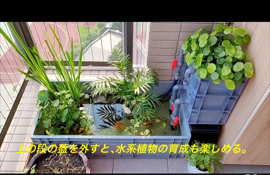 水中ポンプお任せ濾過材付きフルセット 水槽池用濾過器フィルター到着すぐ使える状態
