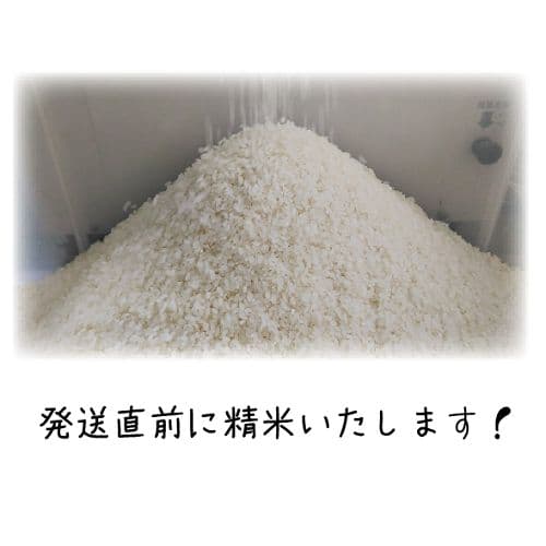 令和7年産 希少米 緑肥＆有機肥料 特別栽培米【朝日】15キロ