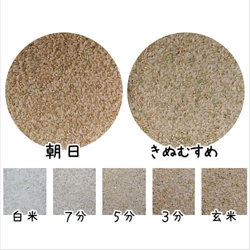 令和7年産 希少米 緑肥＆有機肥料 特別栽培米【朝日】15キロ