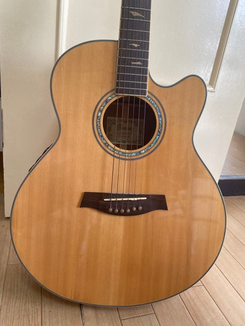 IBANEZ アコースティックギター