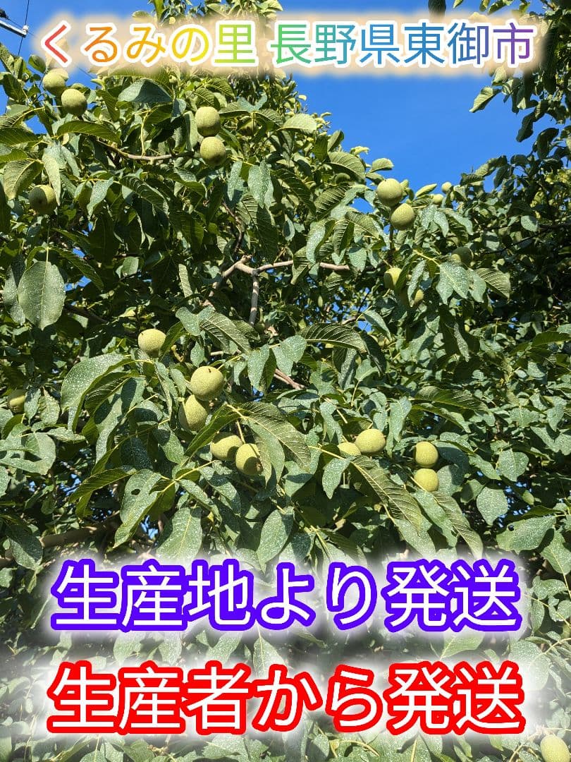 MARIKURI商品 25年 長野県 東御市 信濃くるみ サイズ小10kg