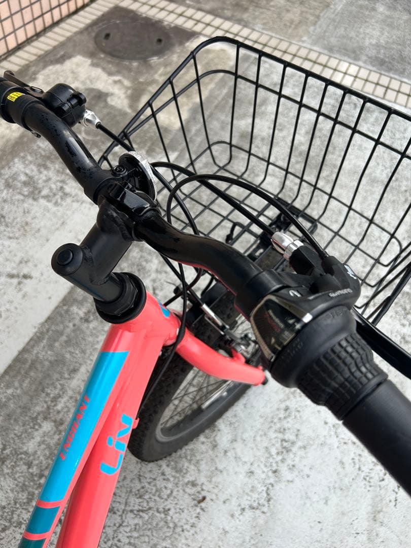 GIANT ENCHANT 20 LITE 20インチ 子供用 自転車