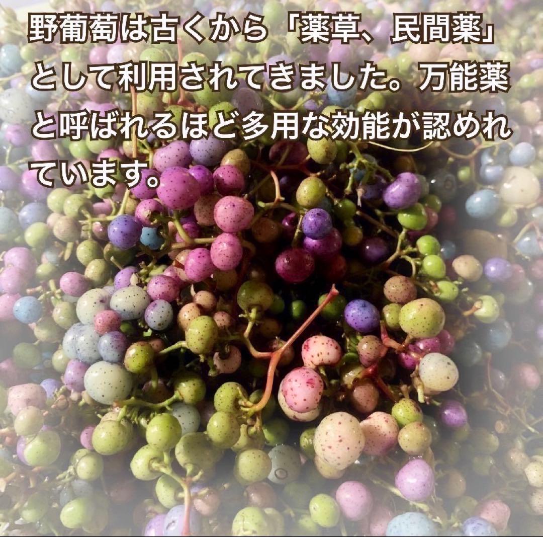 【個包装12袋】馬ぶどう250g×12袋　1年分3kg うまぶどう　薬膳民間療法