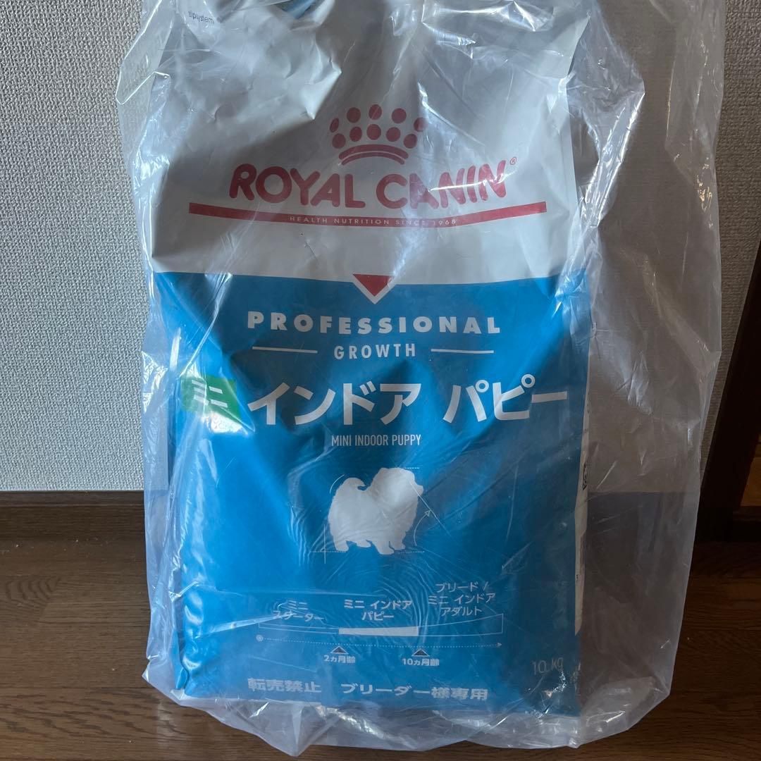  CANIN ミニインドアパピー 10kg 即購入OK