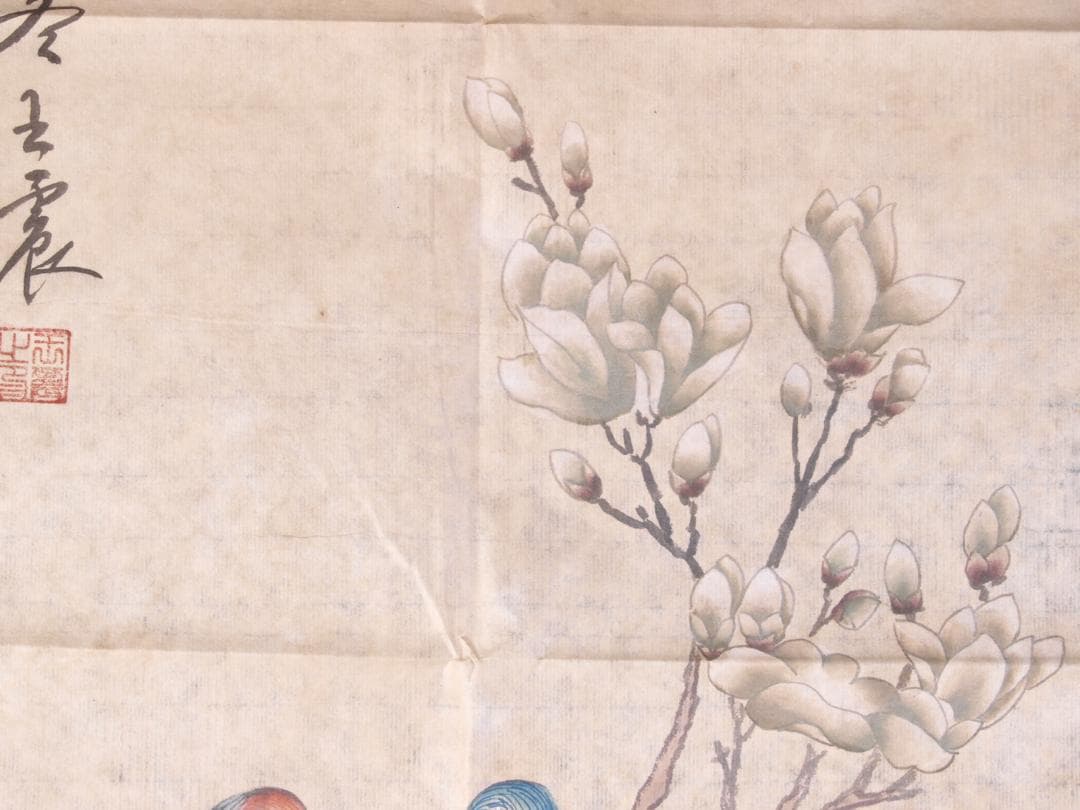 金陵博物院蔵出品　中国　清時代　肉筆水彩絵　唐物骨董品 AK1871A12-3