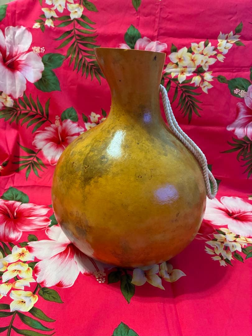 イプ　フラダンス用　楽器