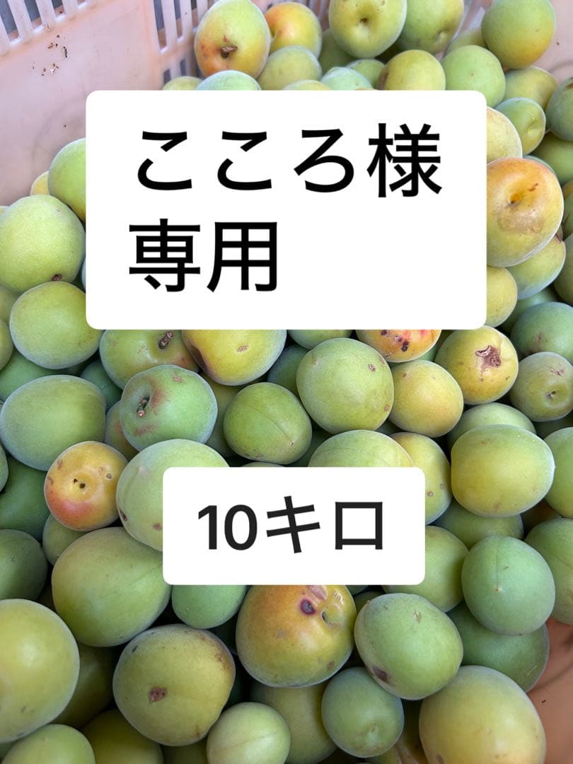こころ