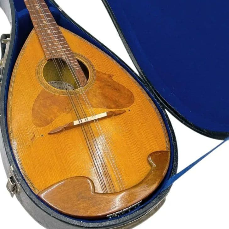 【1969年製】SUZUKI マンドリン No.228 ハードケース付 美品