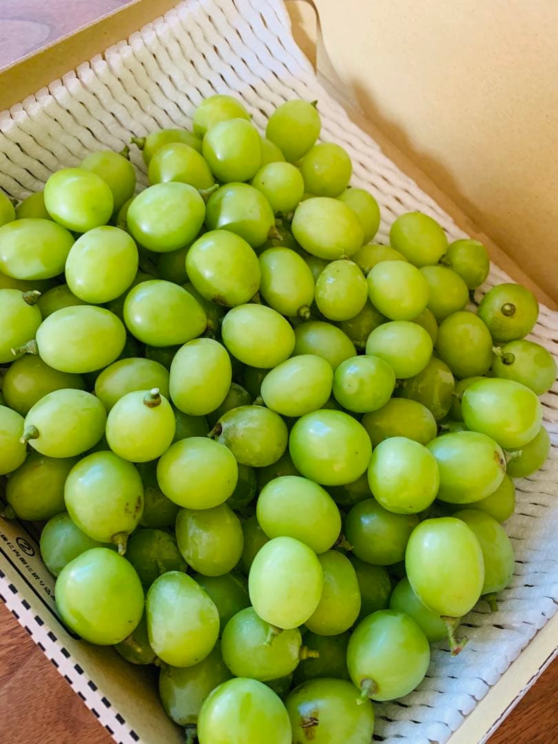 グルルネコ　箱込み5キロ　岡山県産シャインマスカット