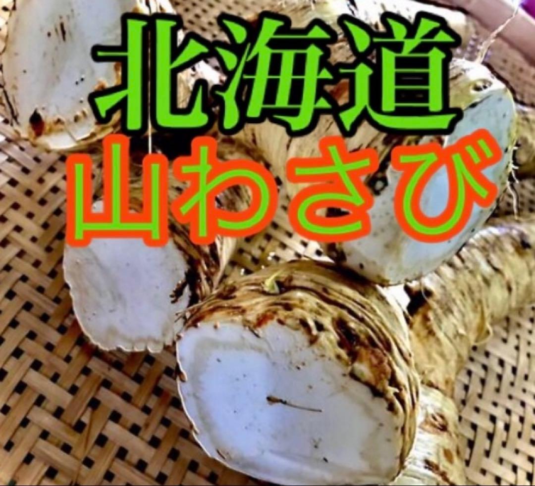 旨辛‼️北海道山ワサビ太物　5kg
