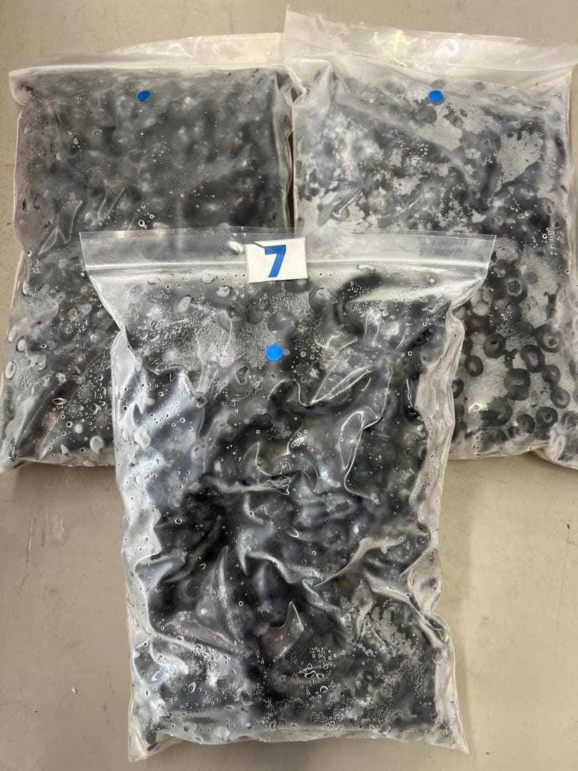 冷凍中粒ブルーベリー3kg