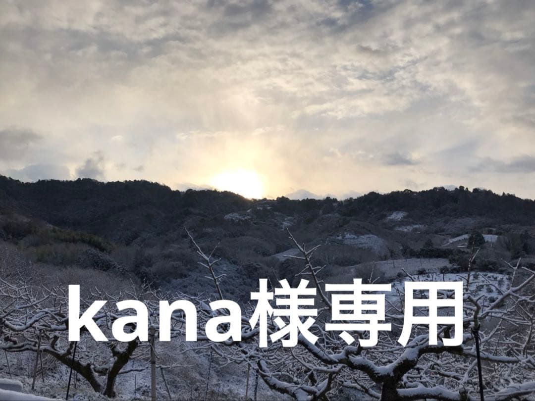 kana　和田果樹園の果物　10kg