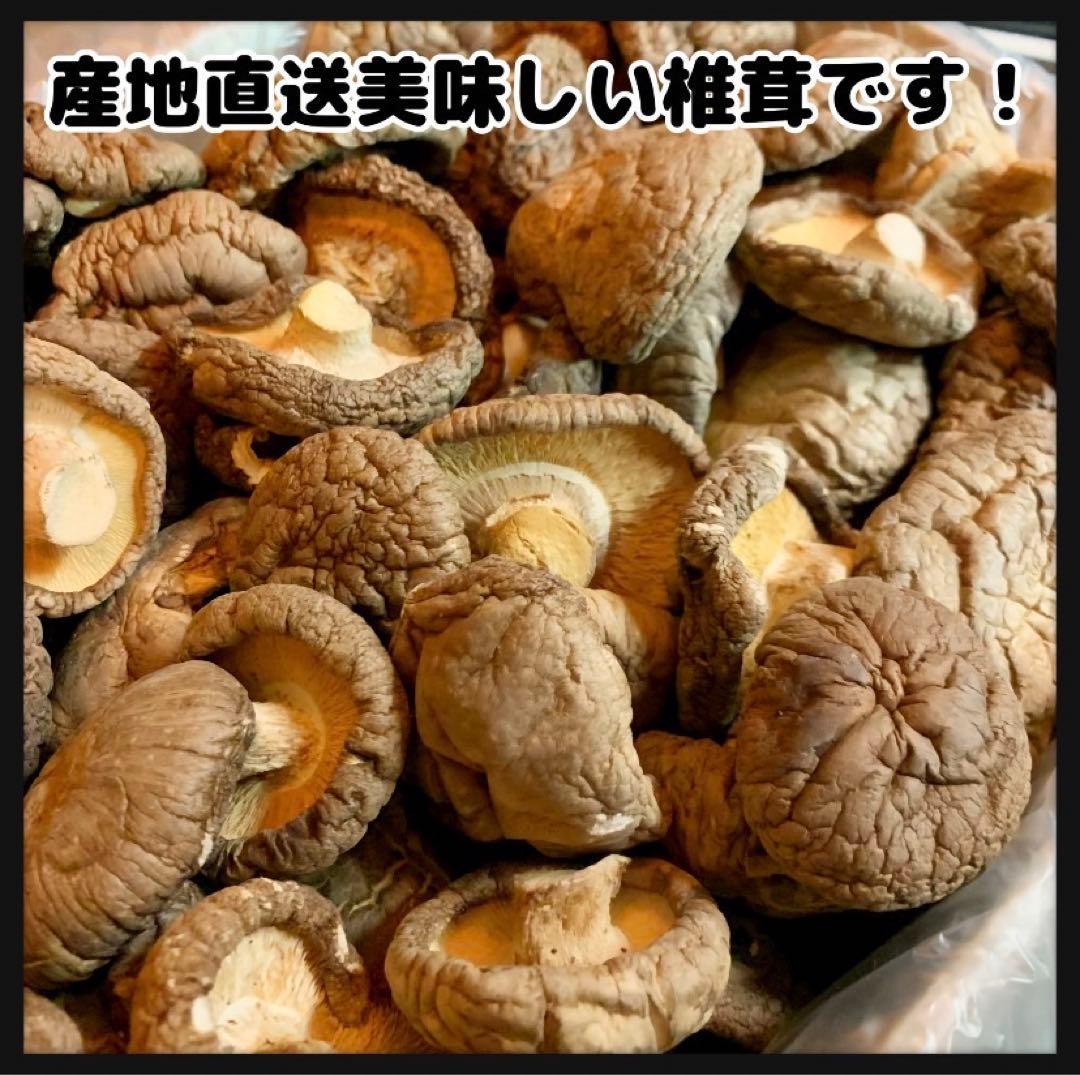 【産地直送】 乾燥椎茸　1kg 業務用　しいたけ　岩手県産　東北の味　おすすめ