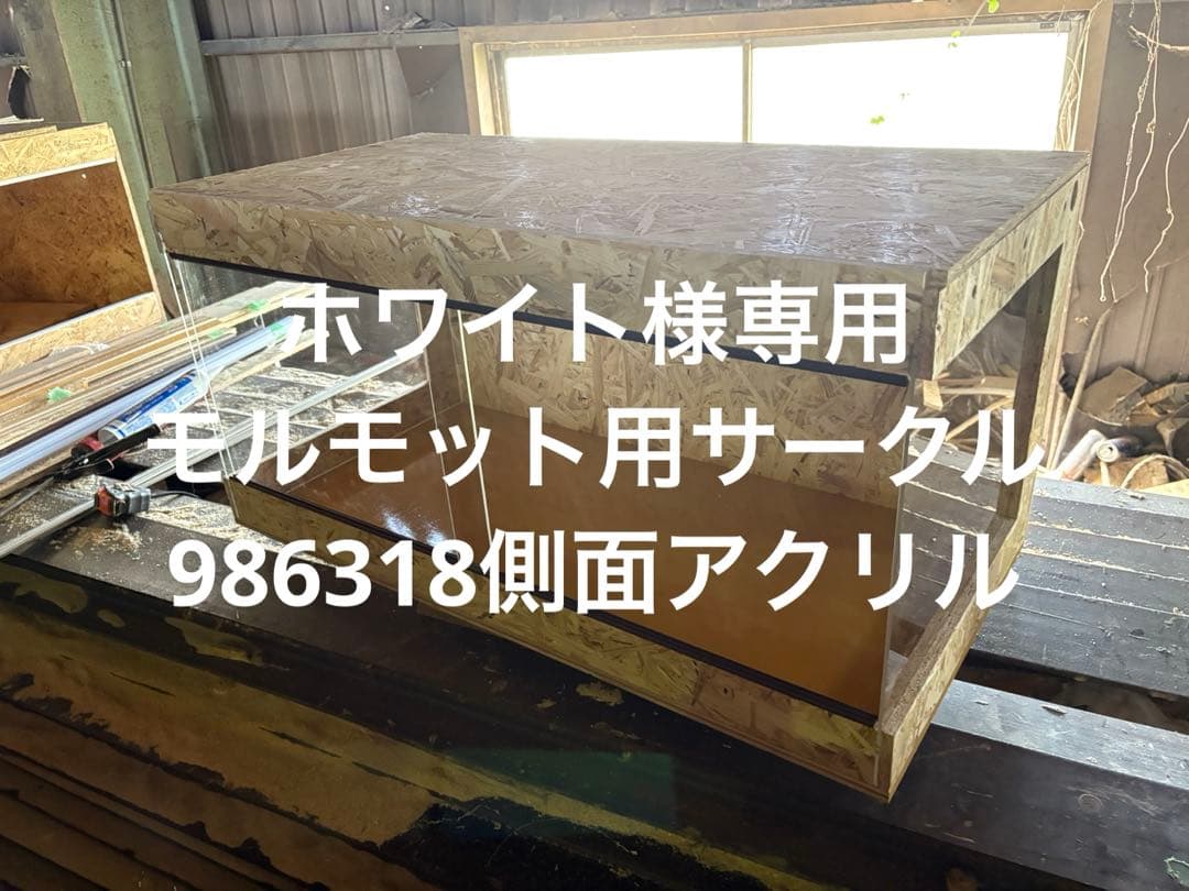 ホワイト