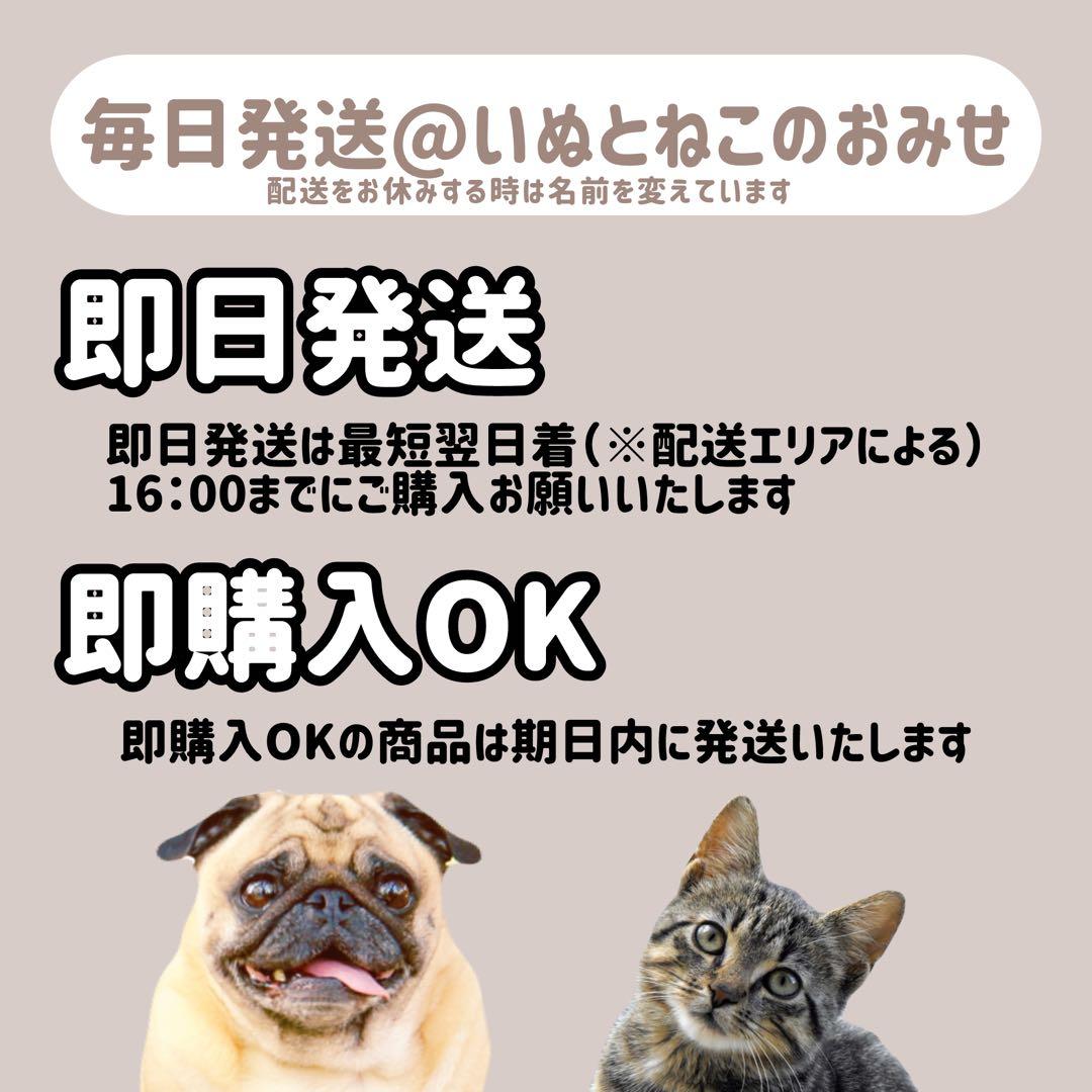 即日発送【15kg】★中粒★セレクトバランス アダルトチキンドッグフード