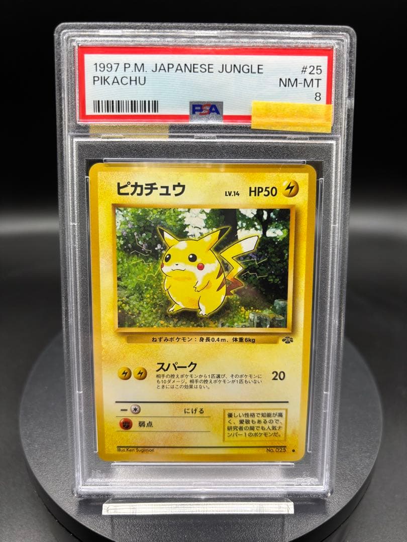1997 P.M. JAPANESE JUNGLE ピカチュウ #25 旧裏