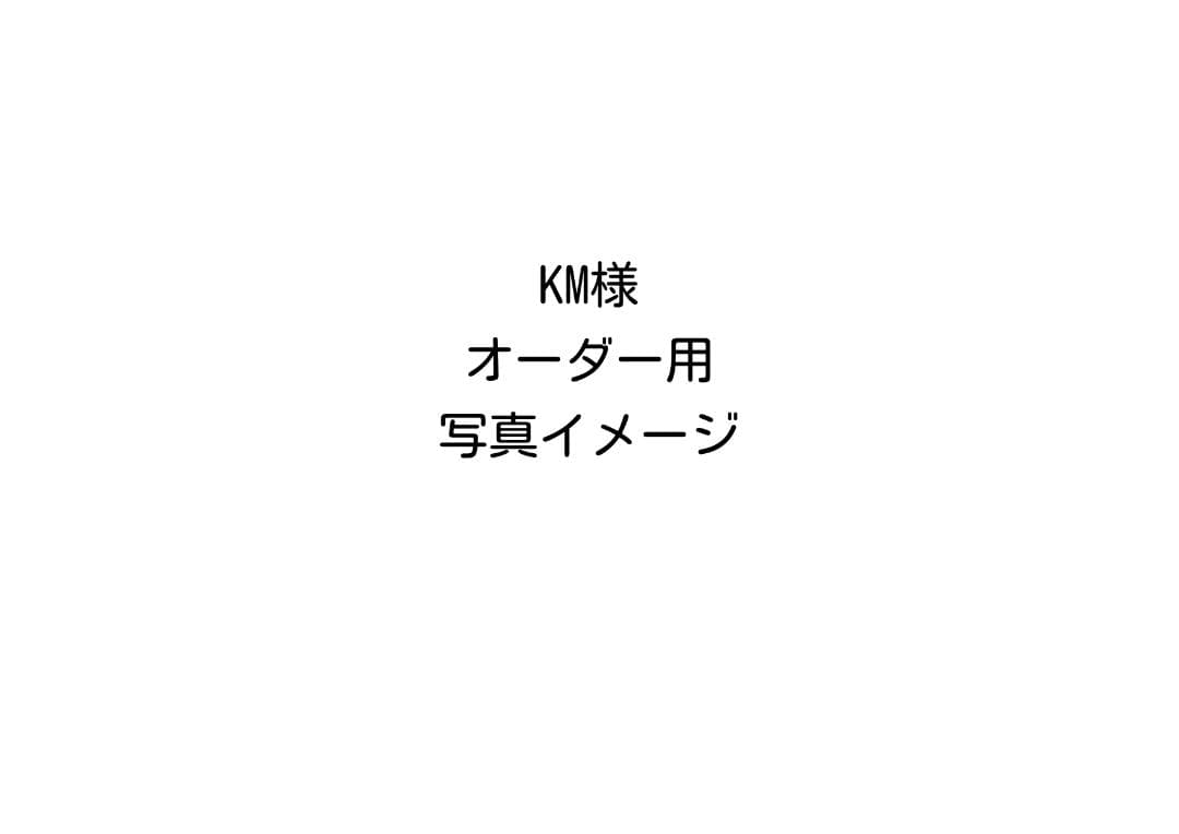 KM様　オーダー依頼用写真イメージ