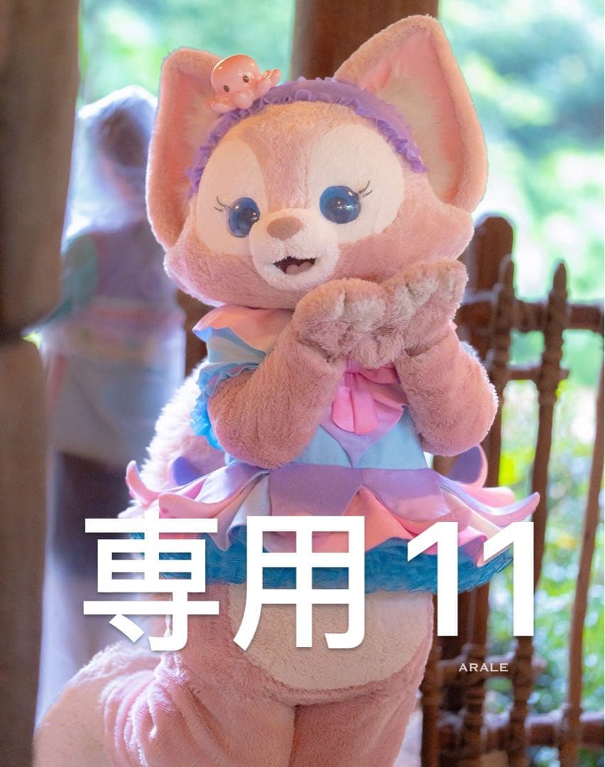 専用11
