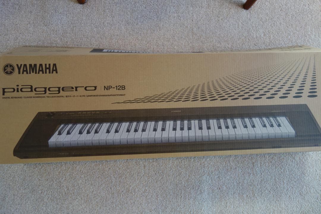 【美品】　ヤマハ Piaggero NP-12B 2022年製 純正ケース付