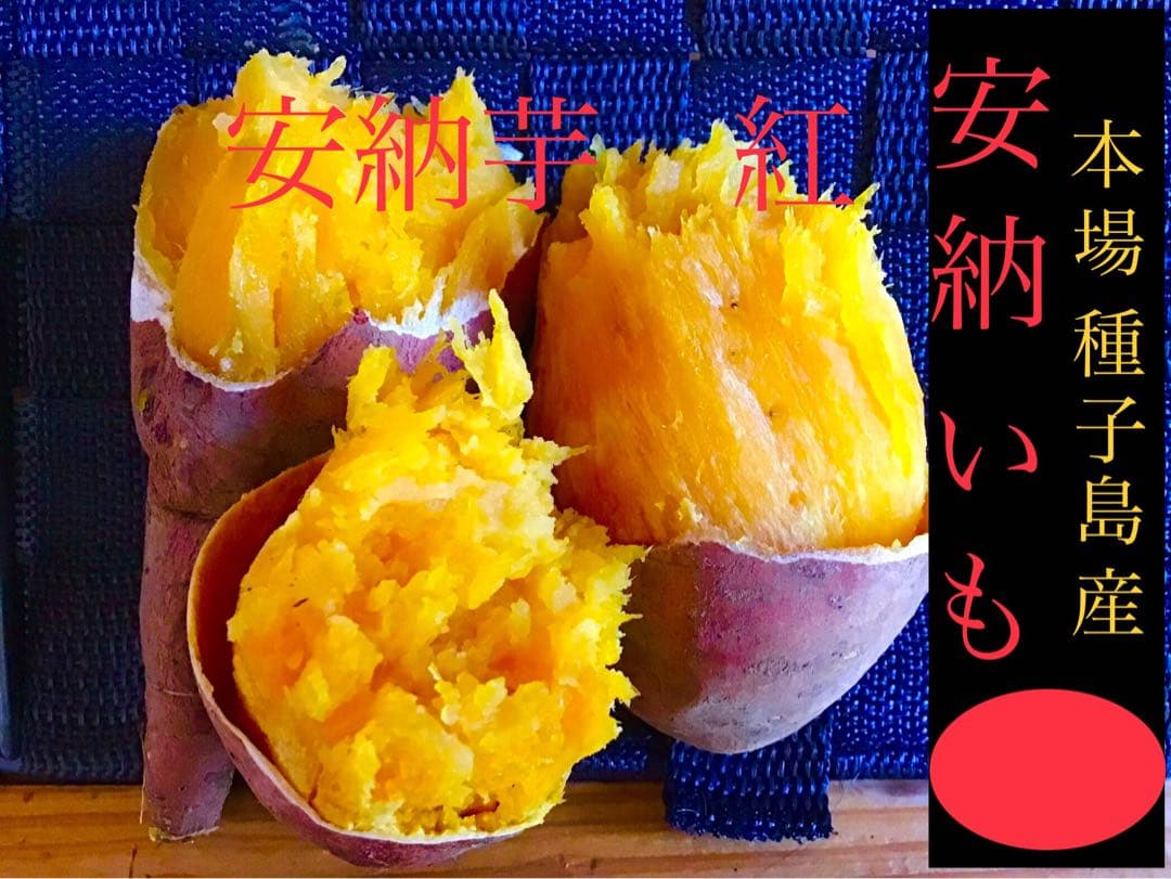 種子島産安納芋　MLのサイズ20kgさつまいもの王道 焼き芋に　#安納芋　5