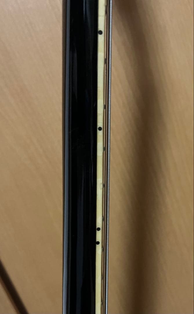 FERNANDES　Burny　SG　黒
