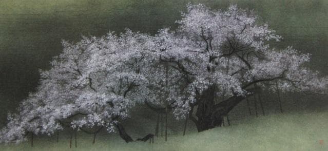 林潤一、【飛騨臥龍桜】、希少な額装用画集より、新品額装付、状態良好