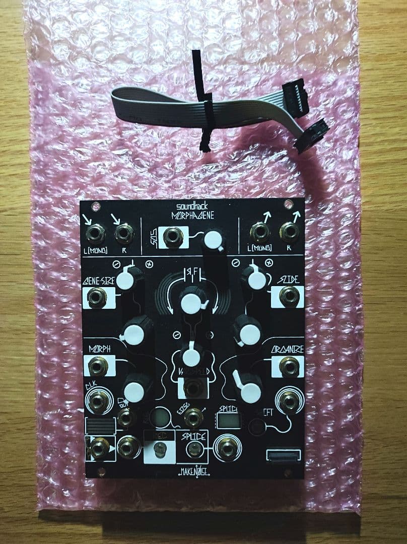 MakeNoise Morphagene モジュラーシンセ サンプラー限定値下げ