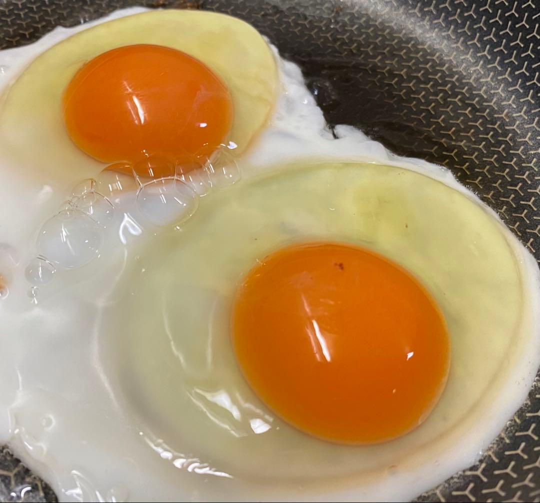平飼い鶏卵 270個入り 大分県佐伯市産