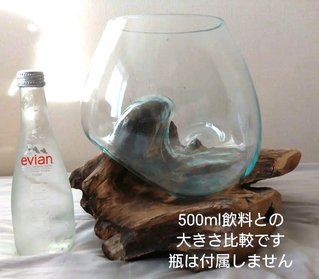 流木 テラリウム 球体ガラス 水槽 苔 観葉植物【値下げ】
