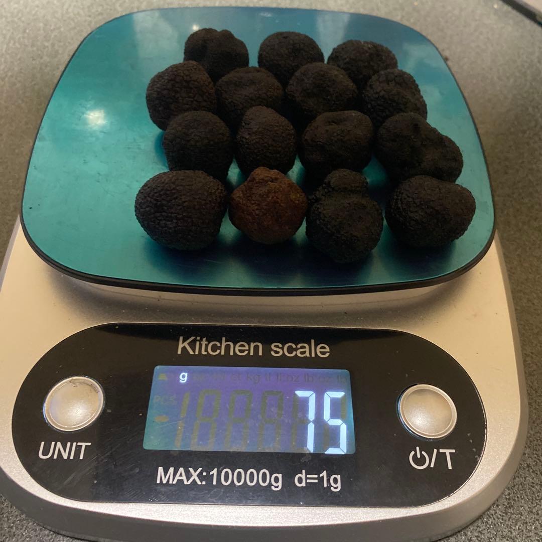 国産　山梨県産　天然黒トリュフ　中 約75g