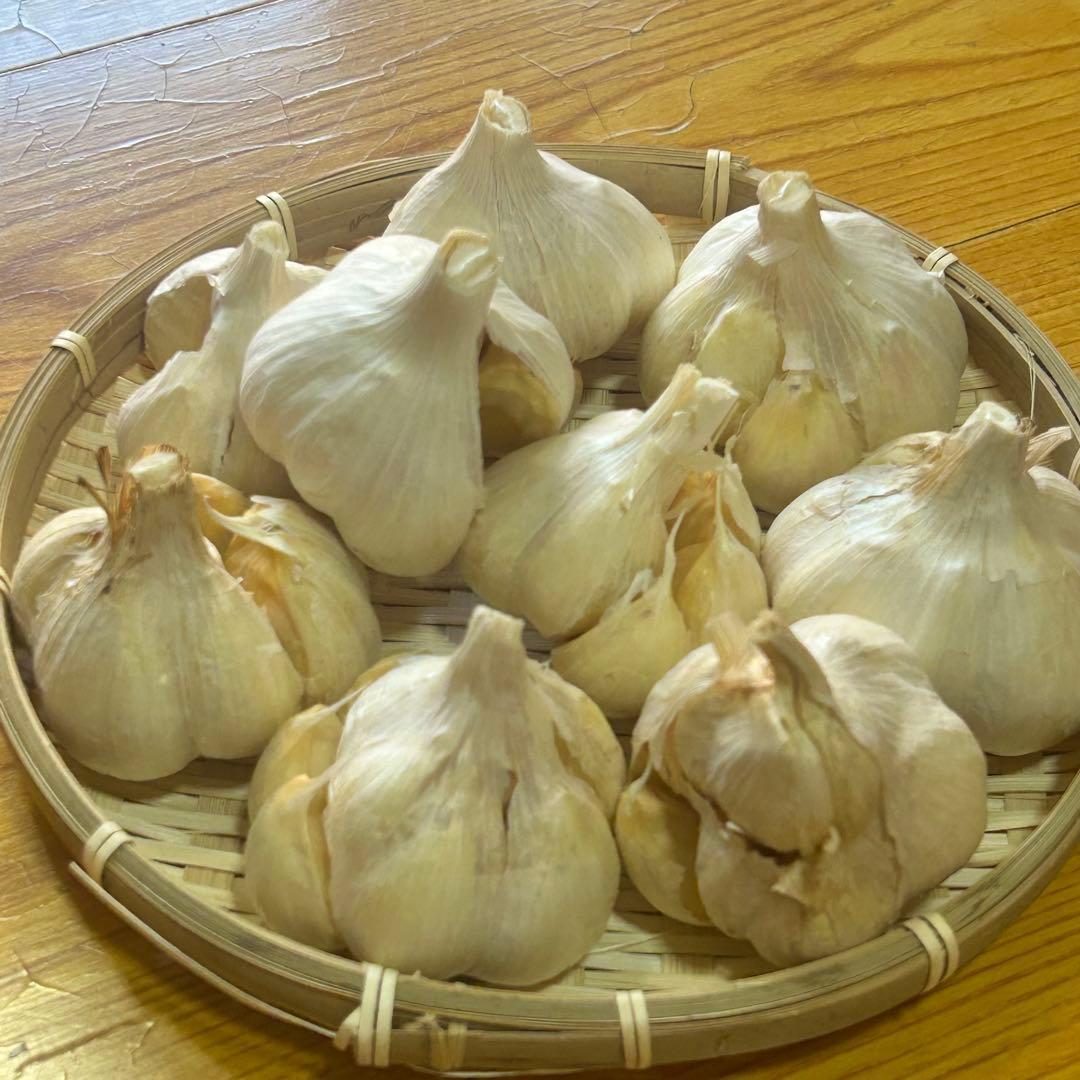 【お買い得セール】青森県 福地ホワイト にんにく L 4kg 　黒にんにく加工