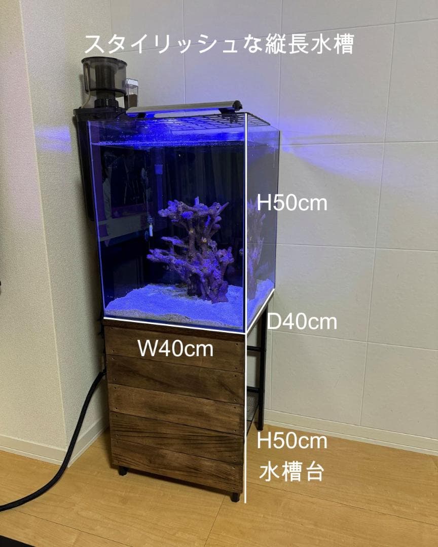 海水魚 飼育セット 一式 初心者OK 40cm水槽 名古屋引取