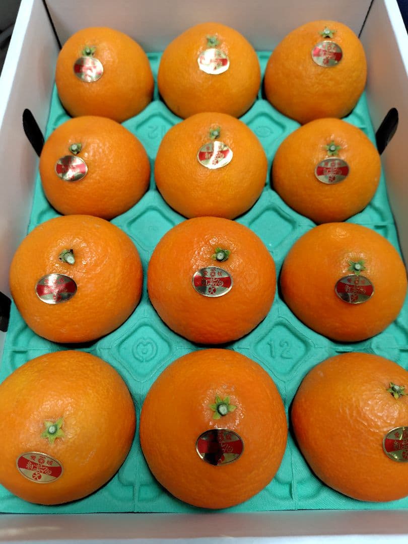 愛媛県産　紅まどんな 　赤秀2Lサイズ 12個入り　化粧箱　限定１箱