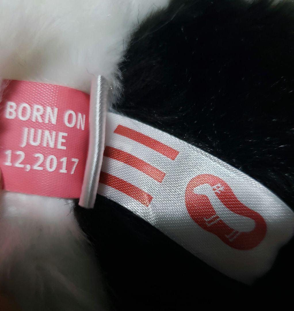 上野動物園 抱っこシャンシャン パンダ ぬいぐるみ BIG