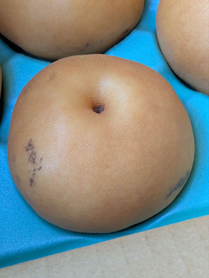 はる♡２箱♡南水梨♡大きめサイズ♡10玉入♡５kg箱入♡
